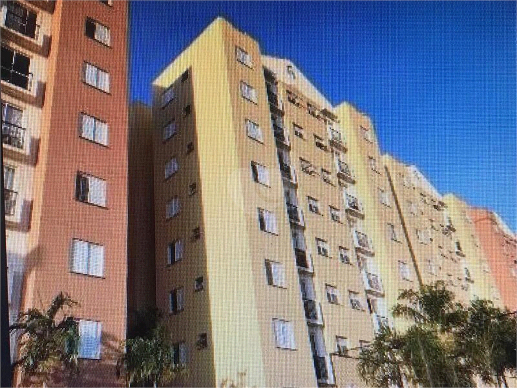 Venda Apartamento Indaiatuba Jardim Alice REO477834 39