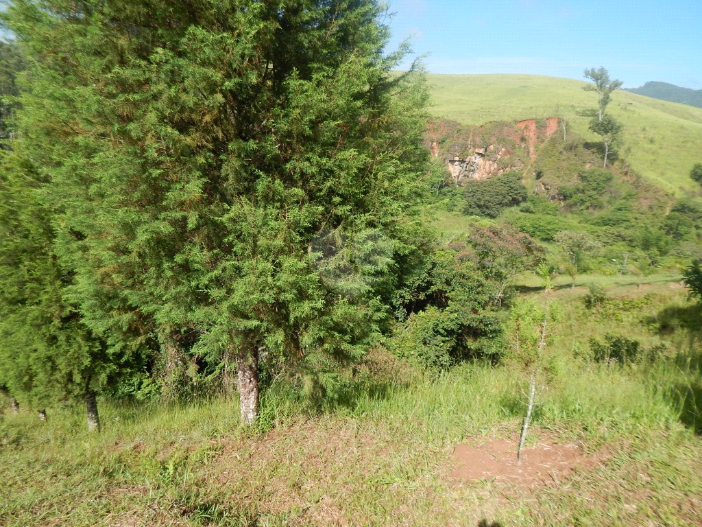 Venda Casa térrea Mogi das cruzes Sabaúna REO478123 51