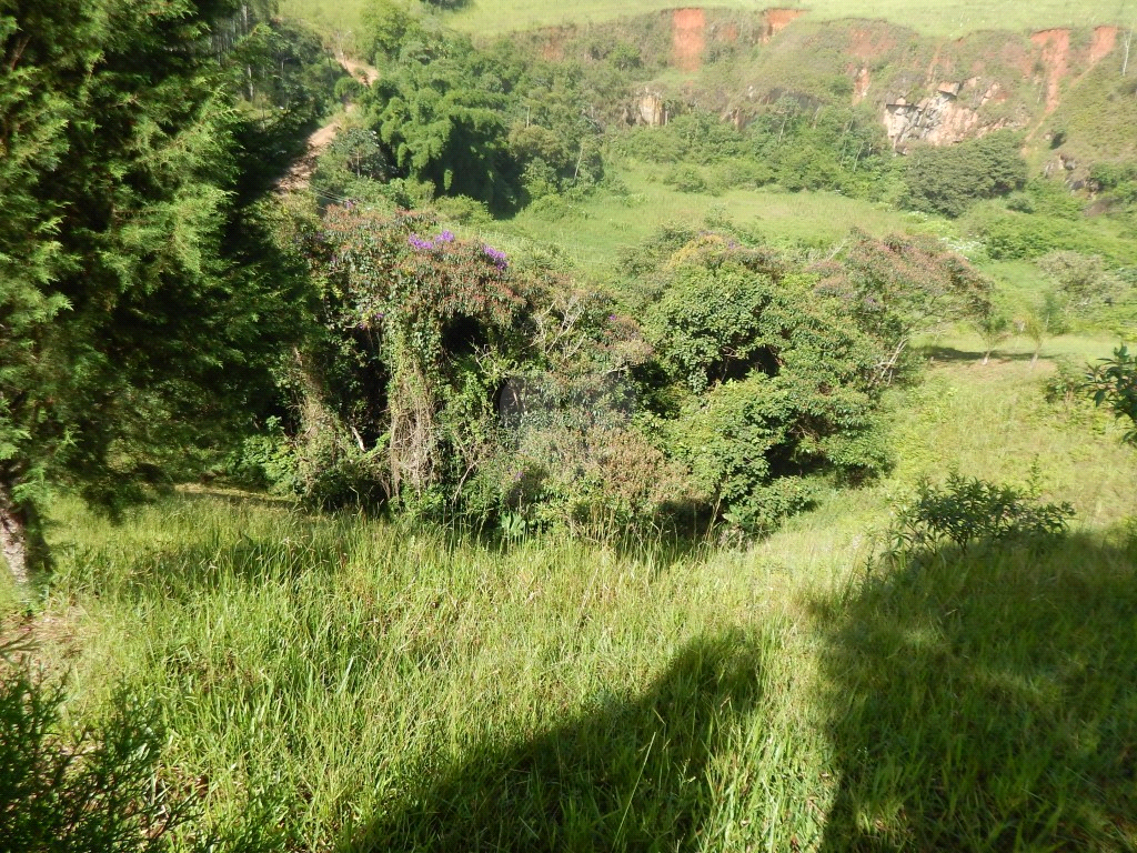 Venda Casa térrea Mogi das cruzes Sabaúna REO478123 52