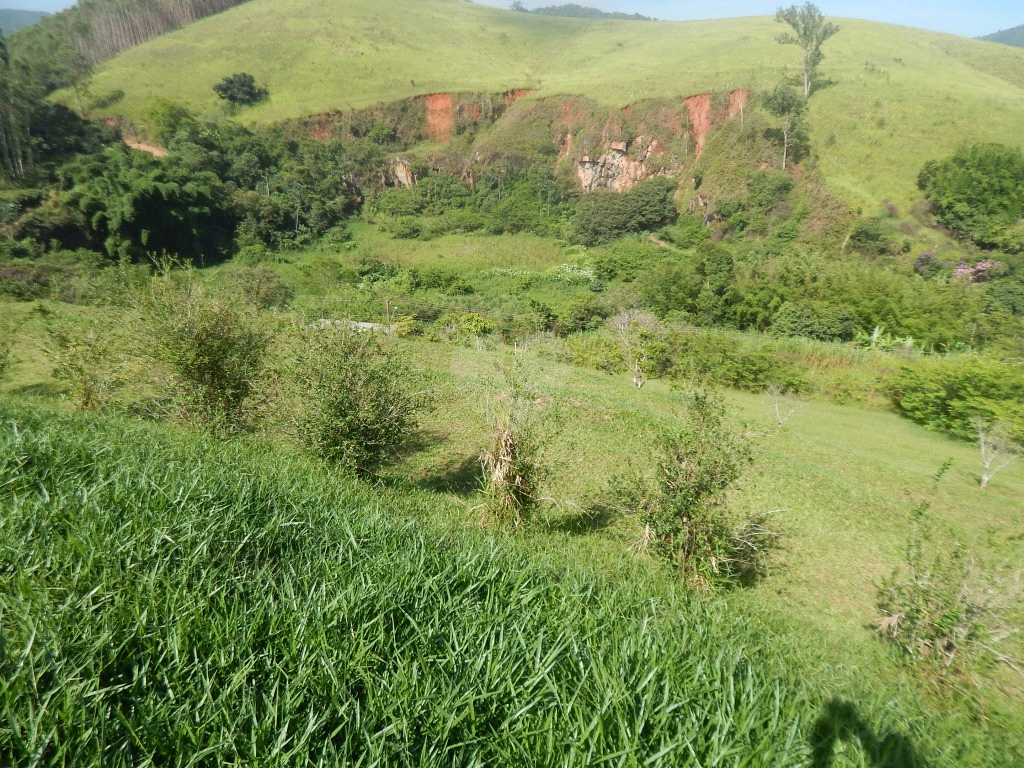 Venda Casa térrea Mogi das cruzes Sabaúna REO478123 56