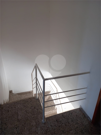 Foto REO478517