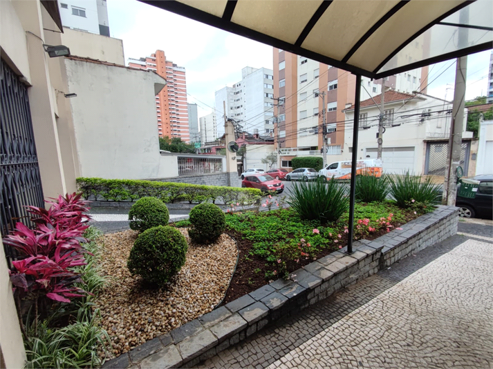 Foto REO478621