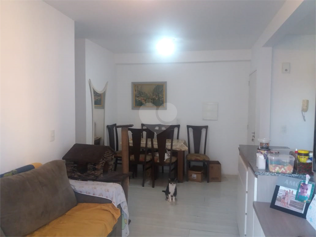 Venda Apartamento Porto Alegre Hípica REO478656 21