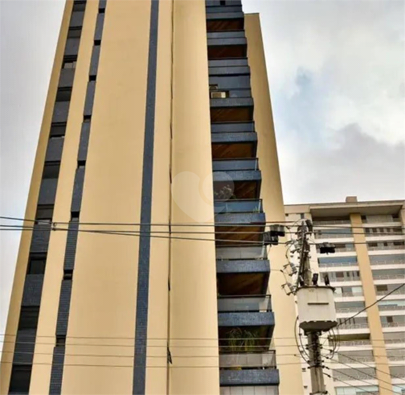 Venda Apartamento São Paulo Vila Mascote REO478660 25