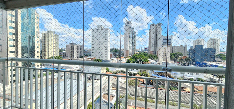 Foto REO478704