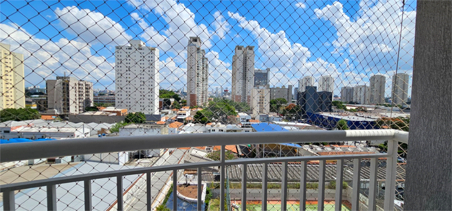 Foto REO478704