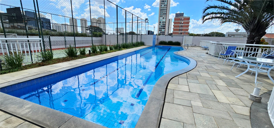Foto REO478704