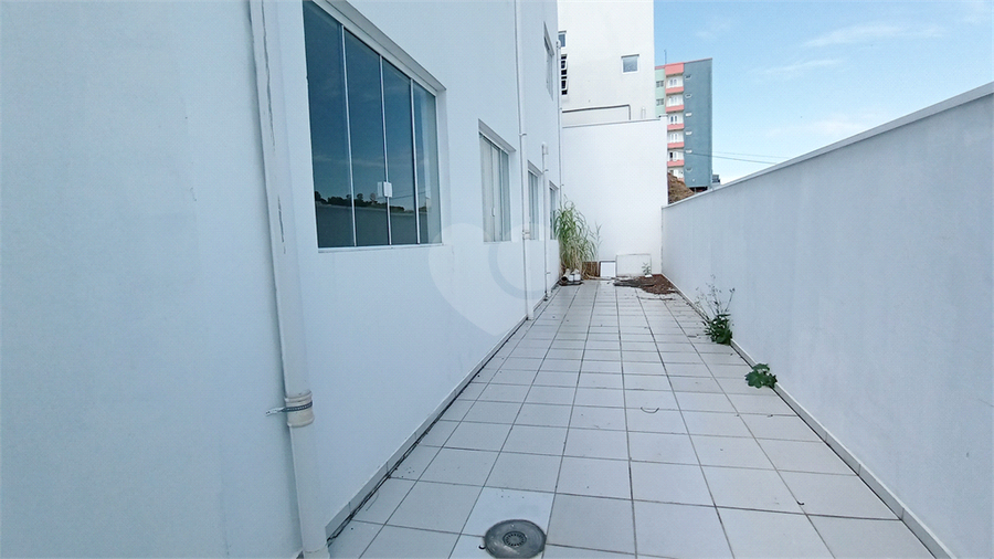 Foto REO478759