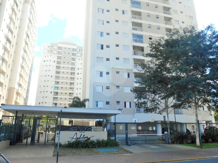 Foto REO478786