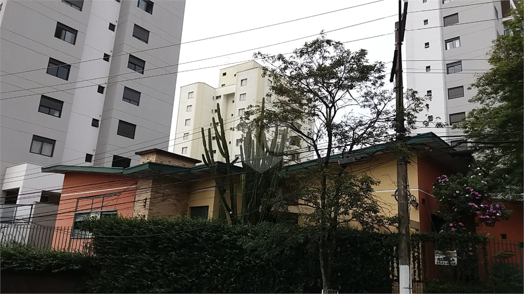 Venda Casa térrea São Paulo Nova Piraju REO478863 26