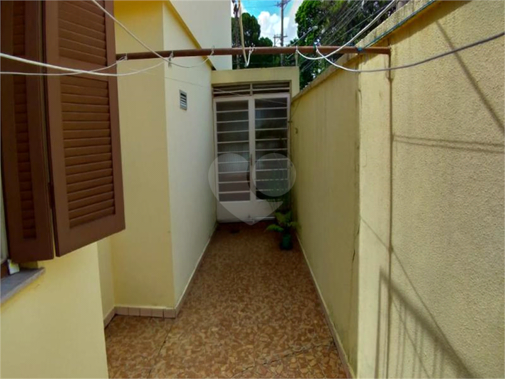 Foto REO479032