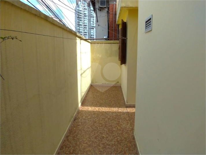 Foto REO479032