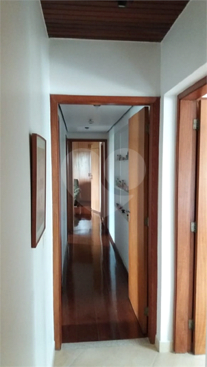 Foto REO479071