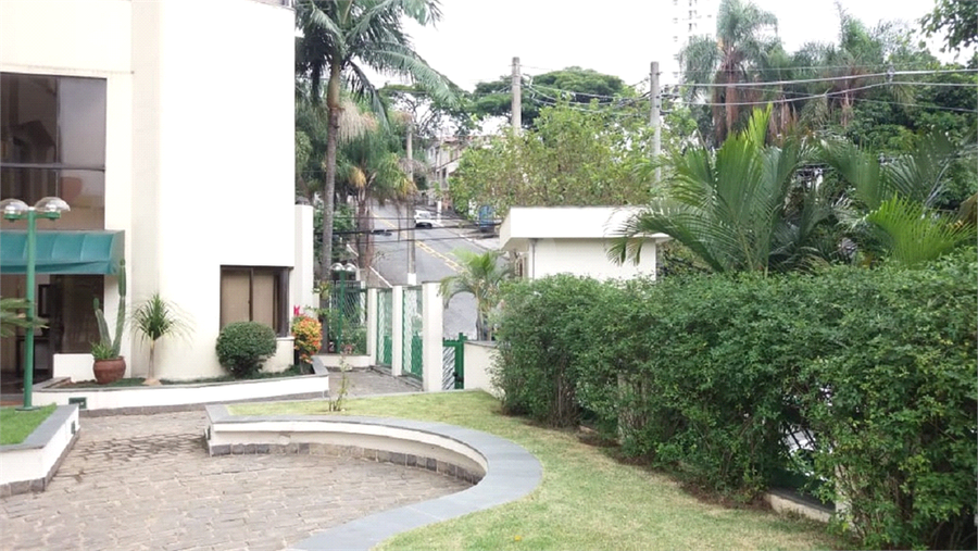 Foto REO479071