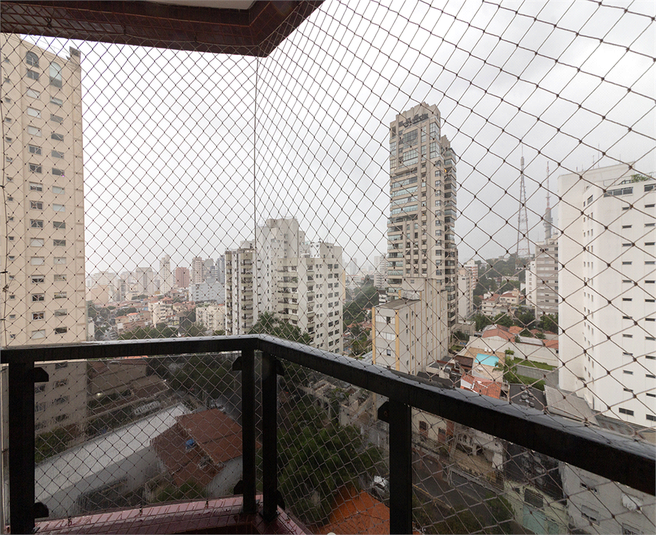 Foto REO479153