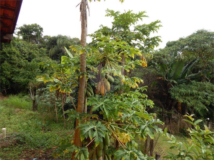 Venda Sítio Mogi Das Cruzes Vila Andrade REO479205 9
