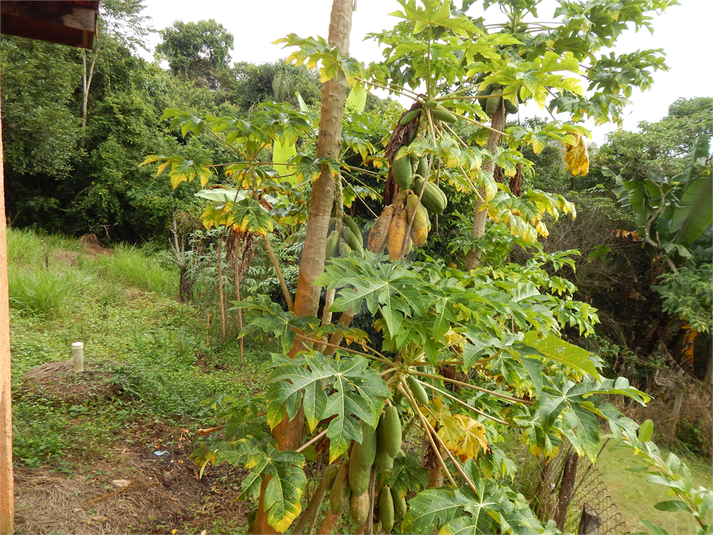 Venda Sítio Mogi Das Cruzes Vila Andrade REO479205 14