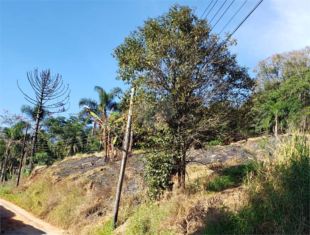 Venda Terreno Mairiporã Luiz Fagundes REO479537 7