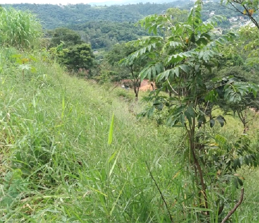 Venda Terreno Mairiporã Luiz Fagundes REO479537 13