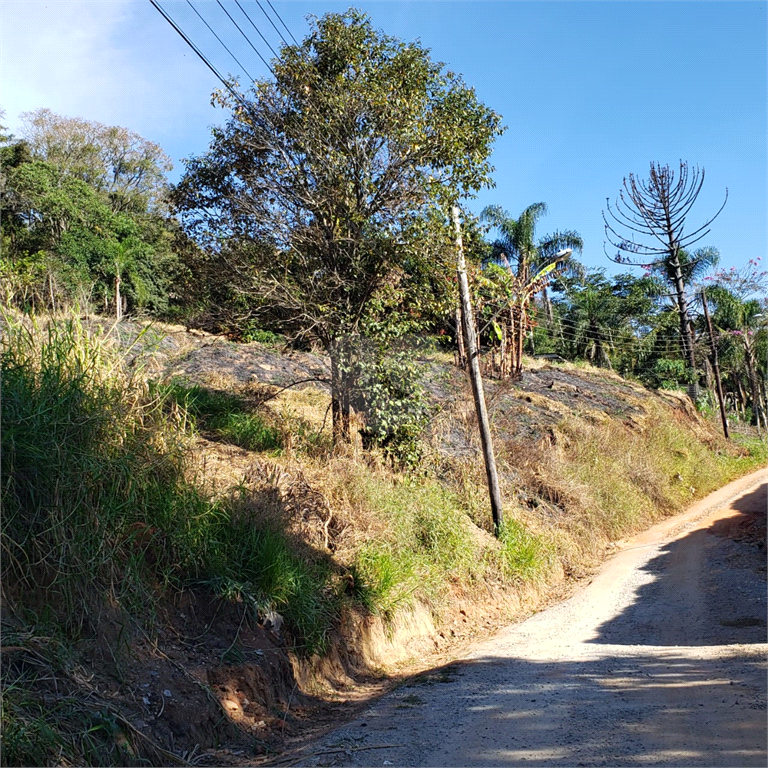 Venda Terreno Mairiporã Luiz Fagundes REO479537 1