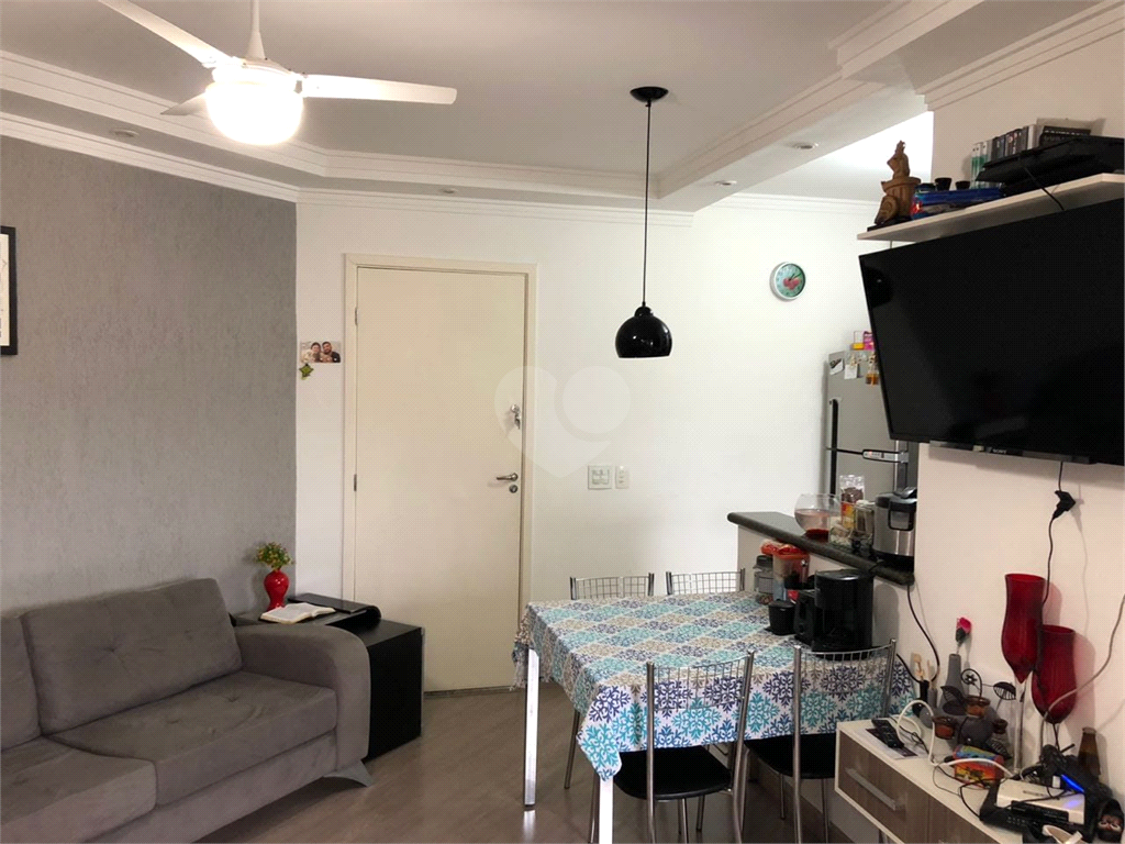 Venda Apartamento São Paulo Vila Bela Vista (zona Norte) REO479720 3