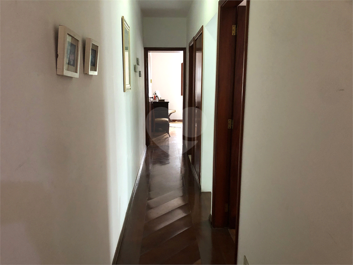 Foto REO479829