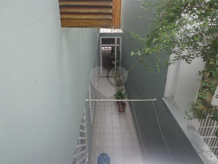 Foto REO479829