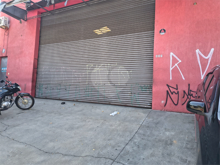 Foto REO480027