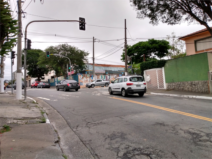 Foto REO480139