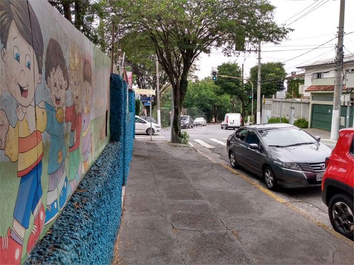 Foto REO480139