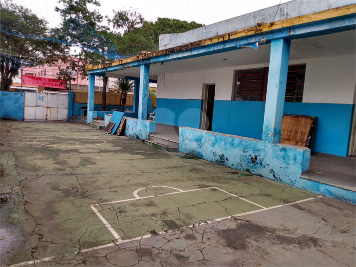 Foto REO480139