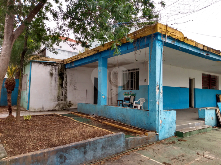 Foto REO480139