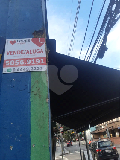Foto REO480142