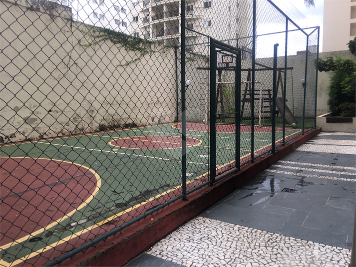 Foto REO480190
