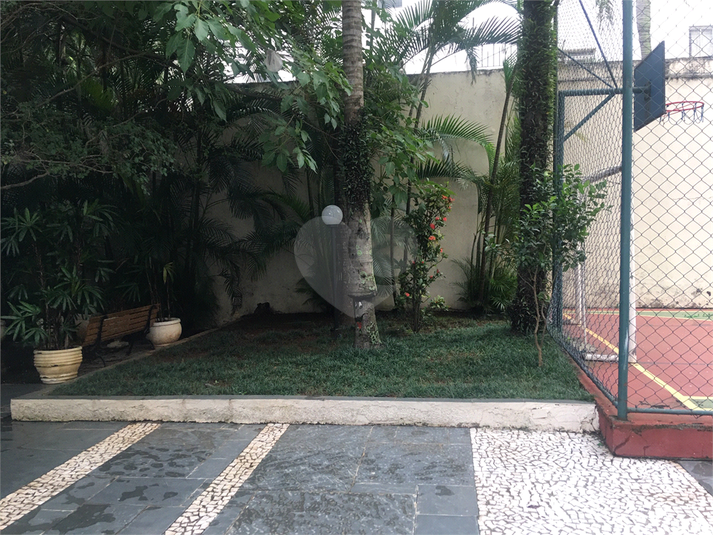 Foto REO480190