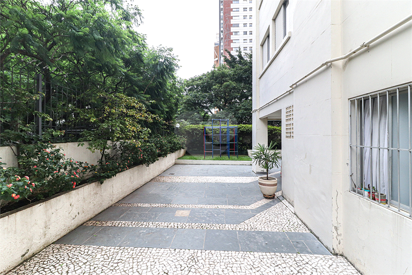 Foto REO480190