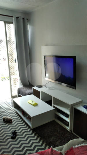 Foto REO480262