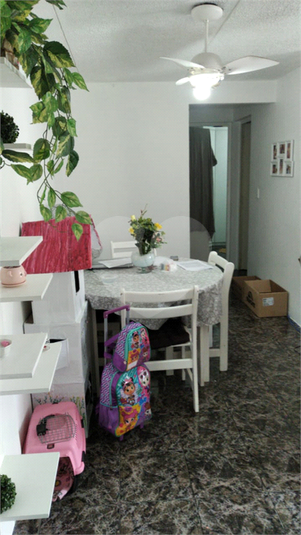 Foto REO480262