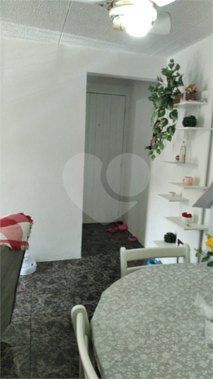 Foto REO480262