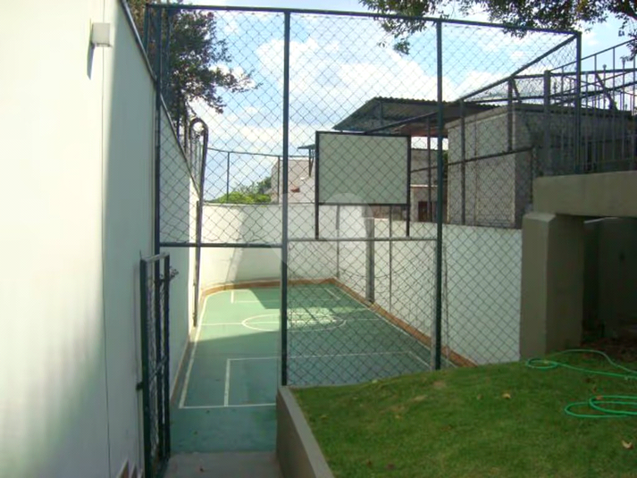 Foto REO480294