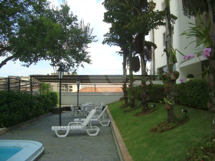 Foto REO480294