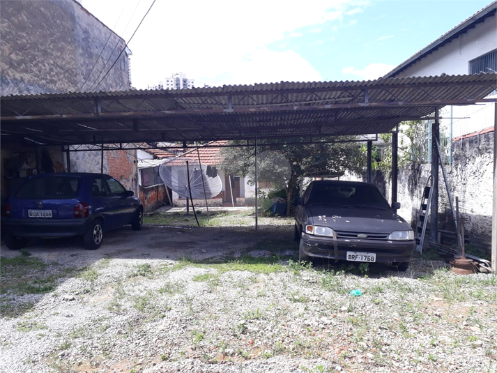 Foto REO481021