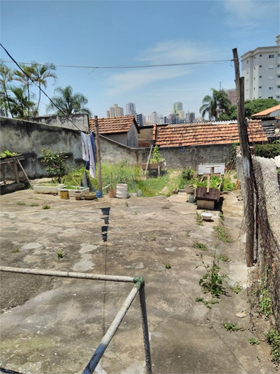 Foto REO481044