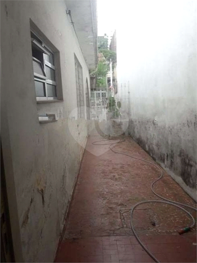 Venda Casa térrea São Paulo Vila Paulicéia REO481044 5