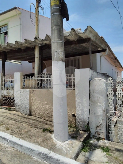 Foto REO481044