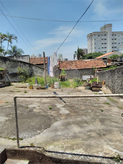 Foto REO481044