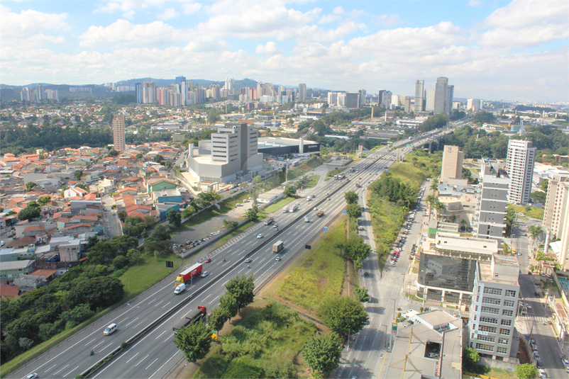 Foto REO481152