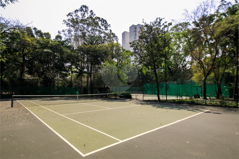 Foto REO481510