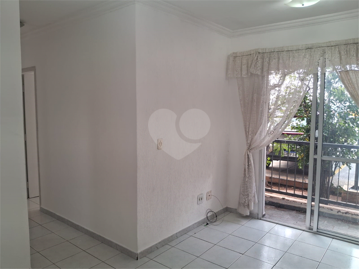 Foto REO481595