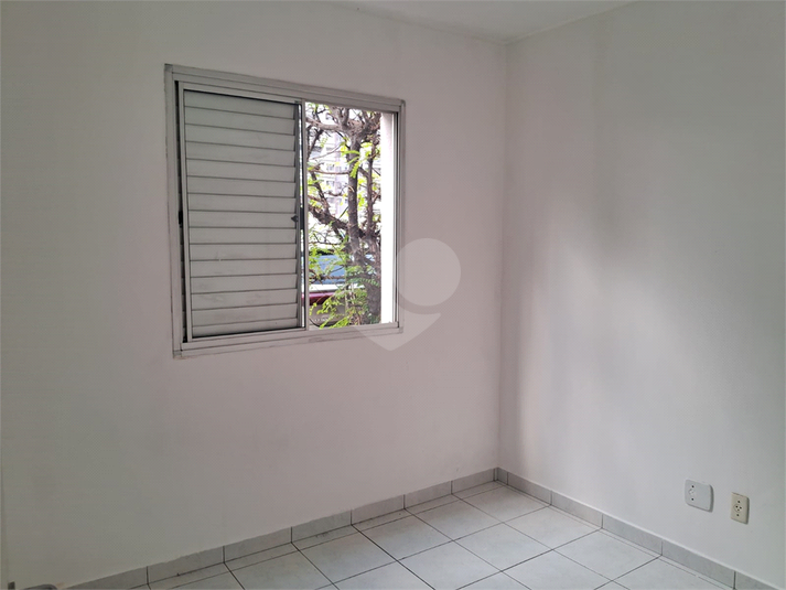 Foto REO481595